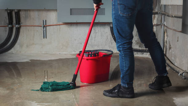  New Bremen, OH Water damage restoration Pros