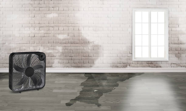Best 24-hour water damage restoration  in New Bremen, OH