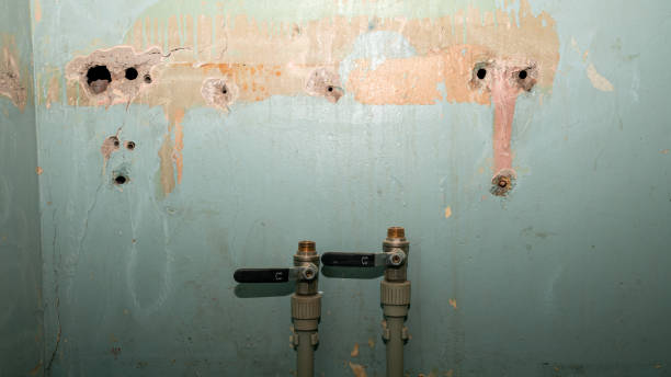Best Professional water damage repair  in New Bremen, OH